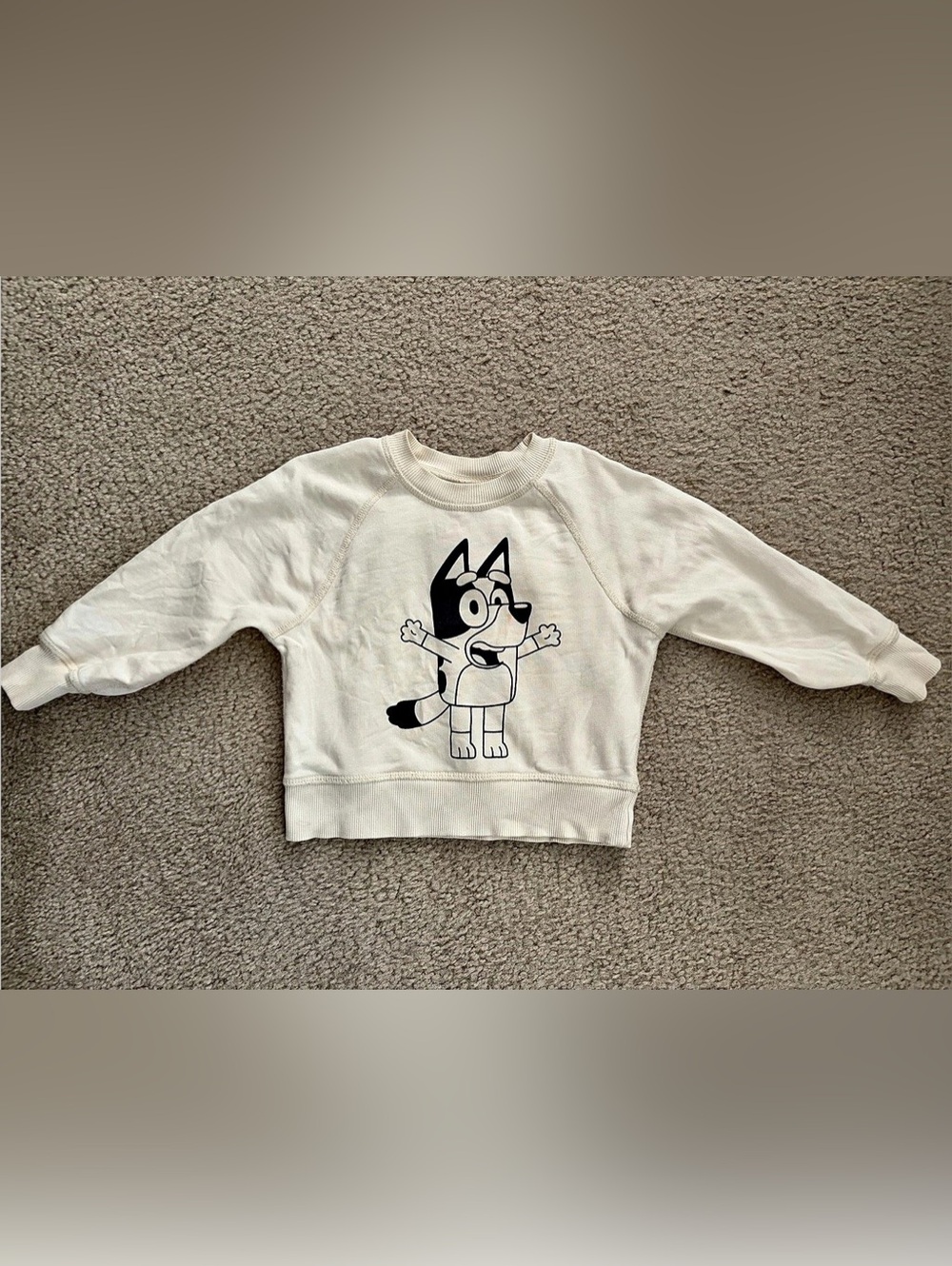 Hanna Andersson Bluey Graphic Sweatshirt
